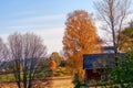 Unpaved road by a rural house with fall color trees around on a sunny day