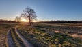 Unpaved road track throw meadow in flatland