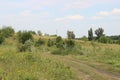 Unpaved steppe road on the meadow