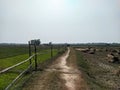 The unpaved village road and the bamboo barriers in the fields Royalty Free Stock Photo