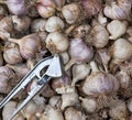 Unpeeled fresh garlic fruits and iron hand press Royalty Free Stock Photo