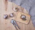 Unpeeled fresh garlic fruits and iron hand press Royalty Free Stock Photo