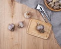 Unpeeled fresh garlic fruits and iron hand press Royalty Free Stock Photo
