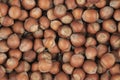 Unpeeled hazelnuts background texture. hazelnuts in shell Royalty Free Stock Photo