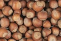 Unpeeled hazelnuts background texture. hazelnuts in shell Royalty Free Stock Photo