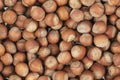 Unpeeled hazelnuts background texture. hazelnuts in shell Royalty Free Stock Photo