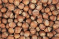 Unpeeled hazelnuts background texture. hazelnuts in shell Royalty Free Stock Photo