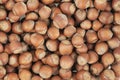 Unpeeled hazelnuts background texture. hazelnuts in shell Royalty Free Stock Photo