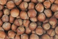Unpeeled hazelnuts background texture. hazelnuts in shell Royalty Free Stock Photo