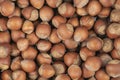 Unpeeled hazelnuts background texture. hazelnuts in shell Royalty Free Stock Photo