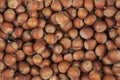 Unpeeled hazelnuts background texture. hazelnuts in shell Royalty Free Stock Photo