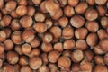 Unpeeled hazelnuts background texture. hazelnuts in shell Royalty Free Stock Photo