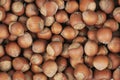Unpeeled hazelnuts background texture. hazelnuts in shell Royalty Free Stock Photo