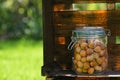 Unpeeled Hazelnuts In A Glass Jar