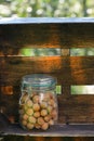 Unpeeled Hazelnuts In A Glass Jar