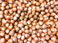 Unpeeled raw hazelnuts background. Top view Royalty Free Stock Photo