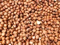 Unpeeled raw hazelnuts background. Top view Royalty Free Stock Photo
