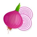 Unpeeled red onion bulb with green sprout and slice isolated on white background. Ripe onion. Vector illustration Royalty Free Stock Photo