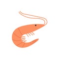 Unpeeled shrimp with antennae