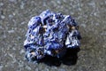 Unpolished Azurite mineral crystals on black