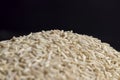 Unprocessed healthy dark rice, close up Royalty Free Stock Photo