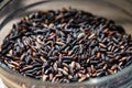 Unprocessed organic black wild rice in a bowl. Royalty Free Stock Photo