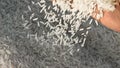 Unprocessed rice being poured from a man's hands