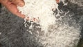 Unprocessed rice being poured from a man's hands