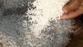 Unprocessed rice being poured from a man's hands.