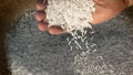 Unprocessed rice being poured from a man's hands.