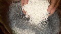 Unprocessed rice being poured from a man's hands.