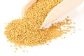 Unprocessed whole fenugreek (Trigonella foenum-graecumcumin) see