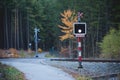 Unprotected Rail Crossing in Forest