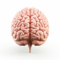 Unraveling the Mind: Fascinating Illustration of a Human Brain