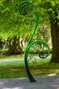 Unravelling fern, one of New Zealand symbols. Royalty Free Stock Photo