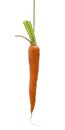Unreachable goal - hanging carrot