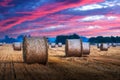 Unreal pink sunset illuminates the rural landscape Royalty Free Stock Photo