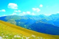 Scene from Sassotetto with a slope of grass and the Sibillini mountains with vegetation