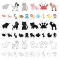 An unrealistic cartoon animal icons in set collection for design. Toy animals vector symbol stock web illustration.