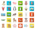 An unrealistic cartoon,flat animal icons in set collection for design. Toy animals vector symbol stock web illustration. Royalty Free Stock Photo