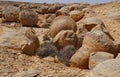 Unreally spherical rocks in Nahal Keidar reserve, South Israel, sunset time