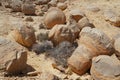 Unreally spherical rocks in Nahal Keidar reserve, South Israel, sunset time