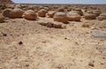 Unreally spherical rocks in Nahal Keidar reserve, South Israel, sunset time