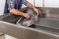 unrecognisable elderly worker scrubbing a piece of metal with a scouring pad