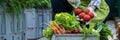 Unrecognisable female farmer holding crate full of freshly picked vegetables in her garden. Homegrown bio produce. Royalty Free Stock Photo