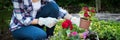 Unrecognisable female gardener holding beautiful flower ready to be planted in a garden. Gardening concept. Garden Landscaping.