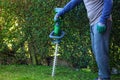 An unrecognisable male gardener wearing safety gloves and holding a cordless hedge trimmer