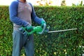 An unrecognisable male gardener wearing safety gloves holding a cordless hedge trimmer to cut garden shrubs
