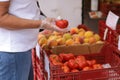 Unrecognisable overweight woman in disposable plastic gloves chooses fresh red tomatoes, buys vegetables in a grocery