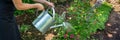 Unrecognisable woman watering flower bed using watering can. Gardening hobby concept. Landscaping.